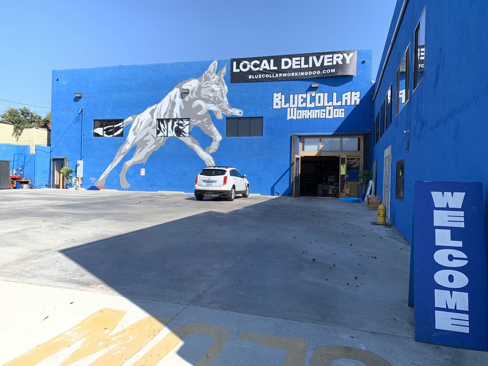 BlueCollar Working Dog