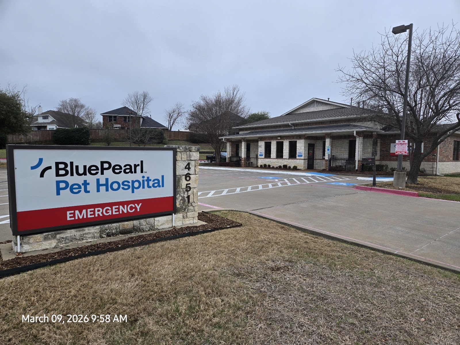 BluePearl Pet Hospital