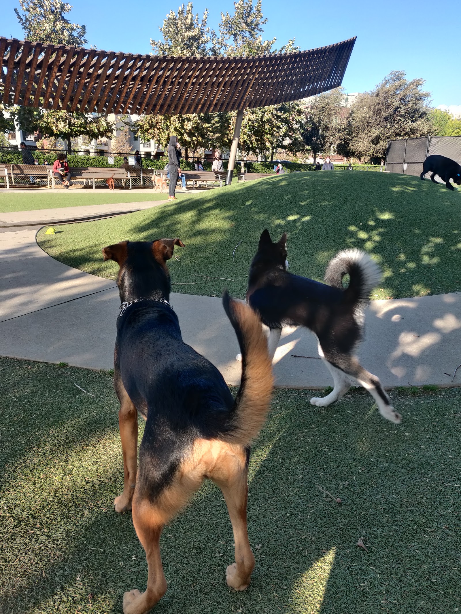 Bluff Creek Dog Park