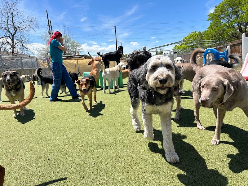 Boarding And Beyond photo 3