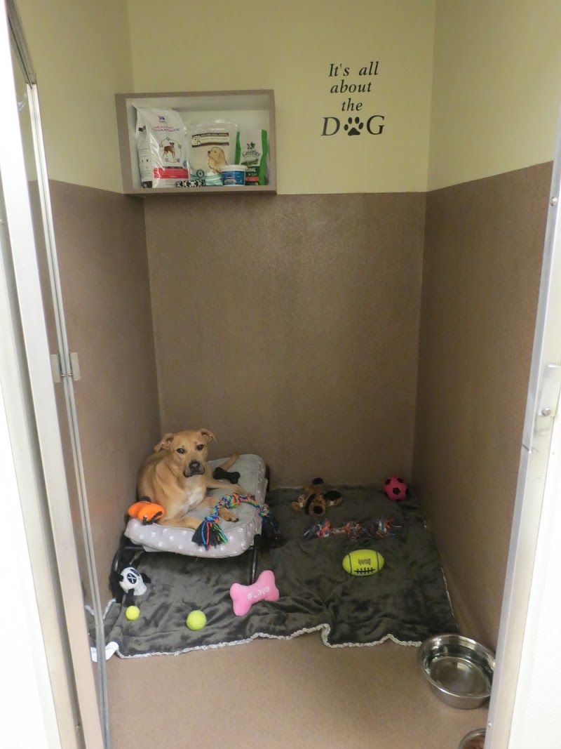 Boca Park Animal Hospital photo 3