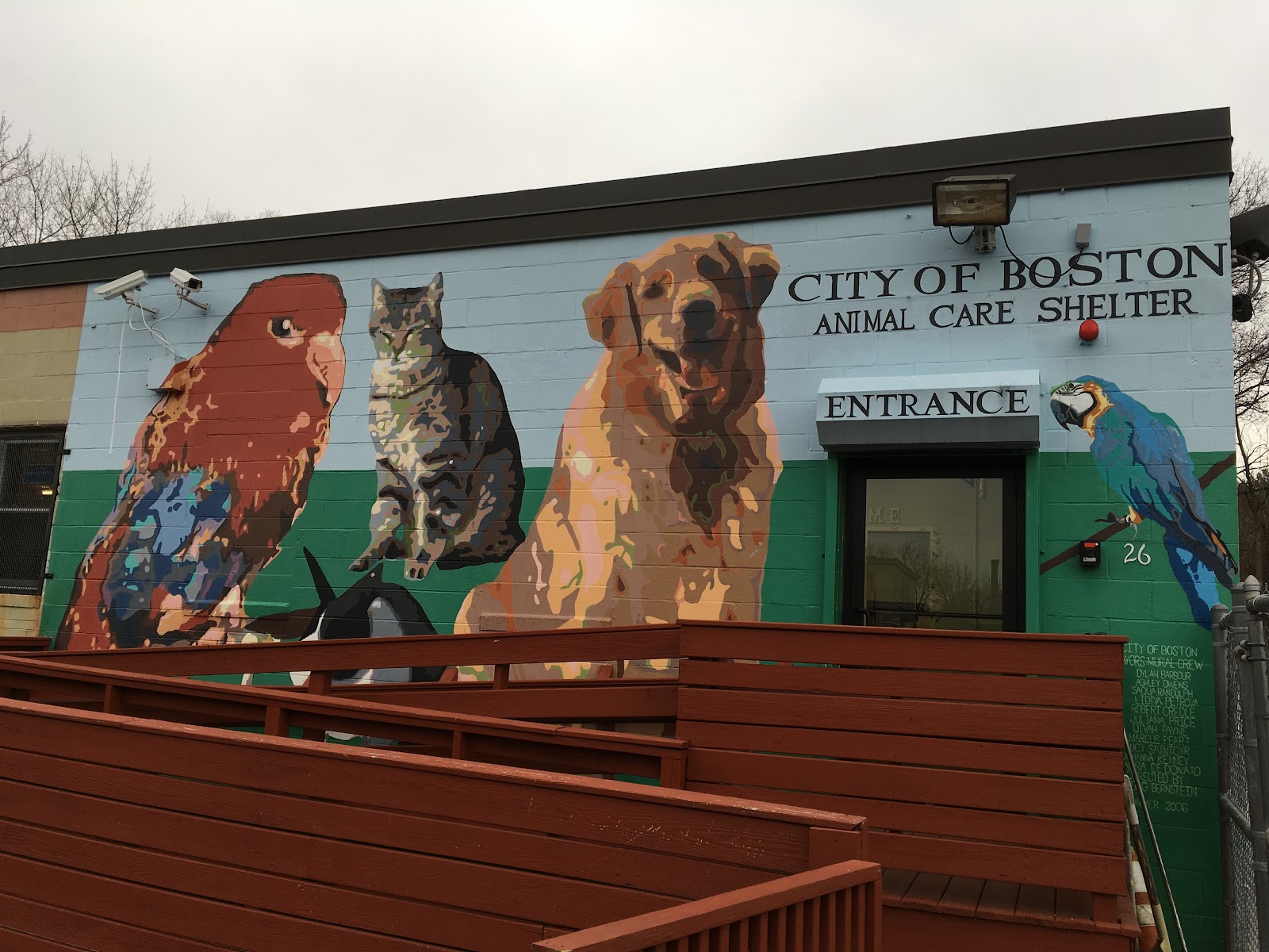 Boston Animal Care and Control Shelter