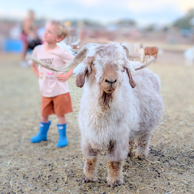 Broken Shovels Farm Sanctuary photo 2