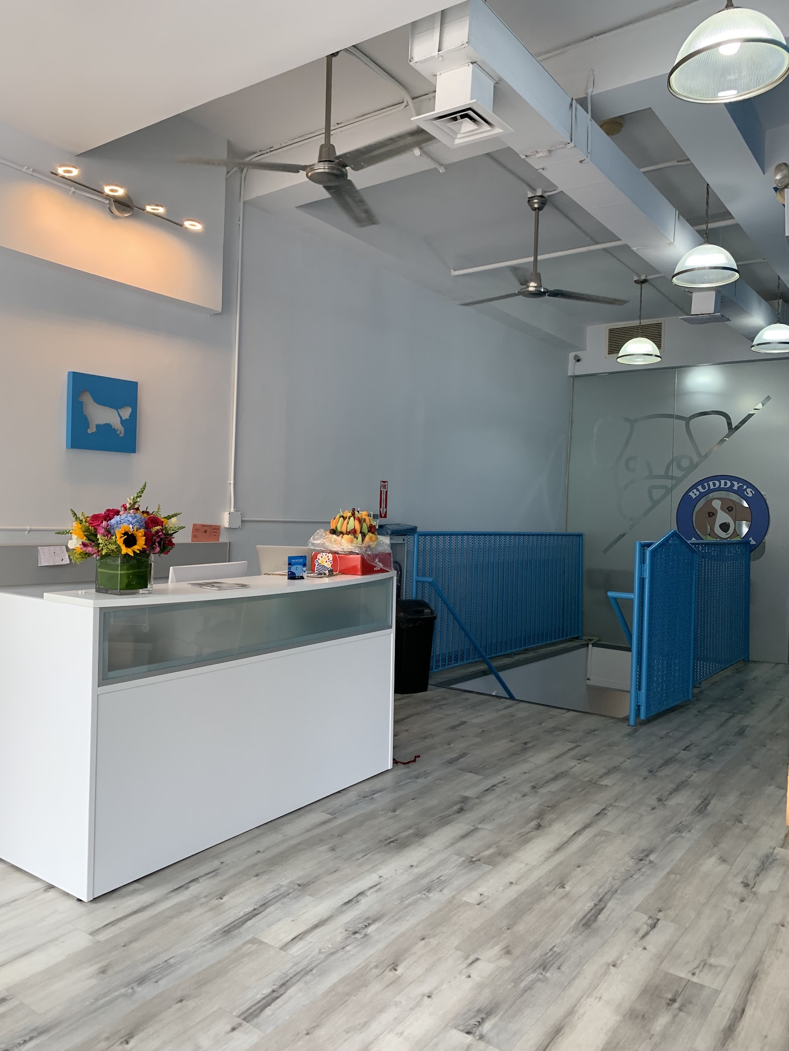 Buddy's Dog Den