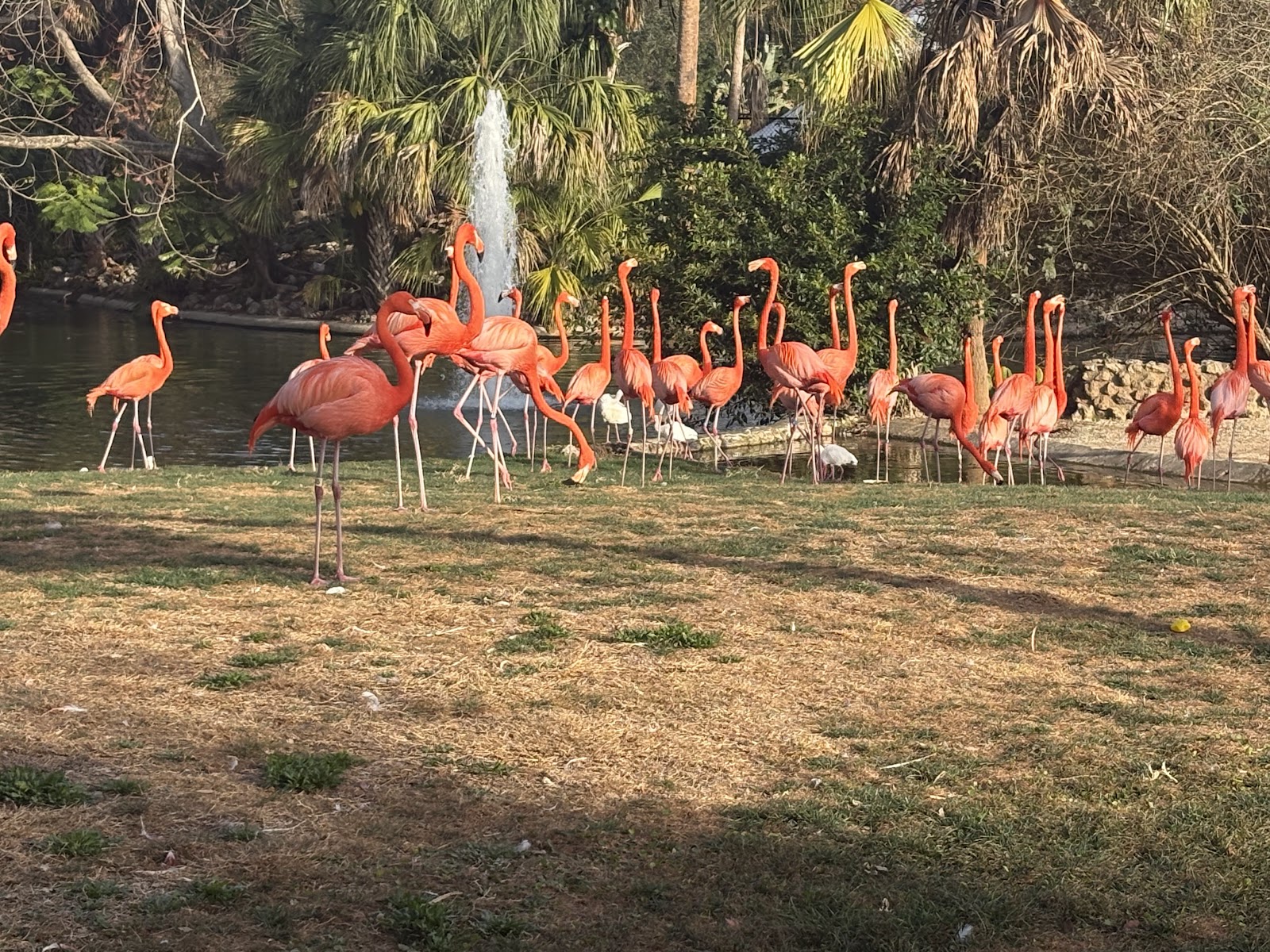 Busch Gardens Pet Kennel