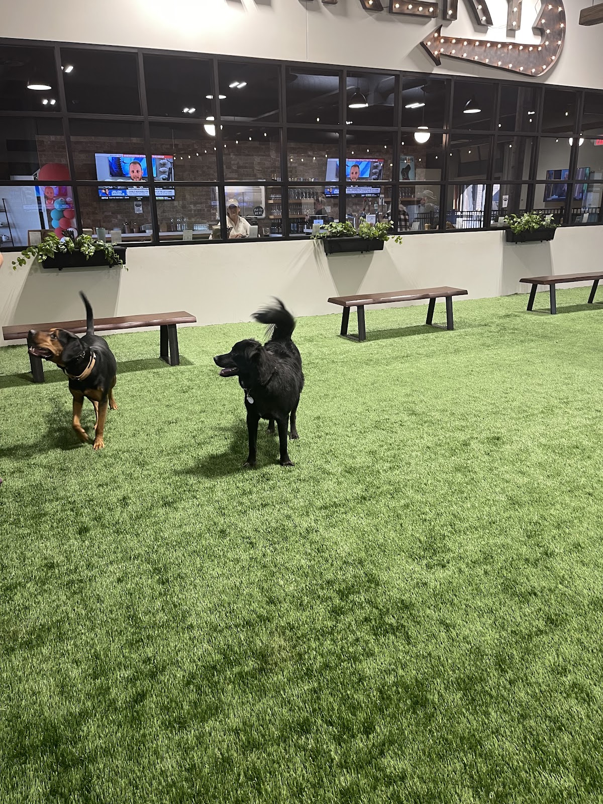 Brew Park Plymouth photo 3