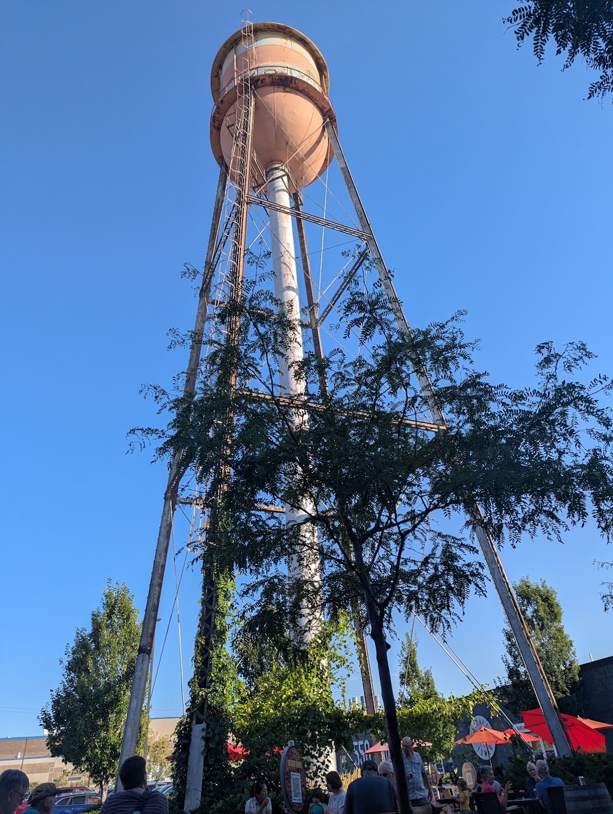 Lake Monster Brewing photo 3