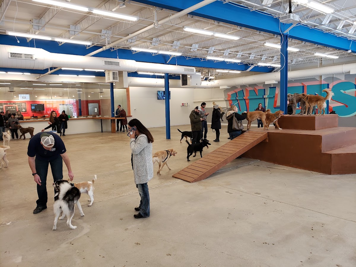 Unleashed Hounds and Hops photo 2