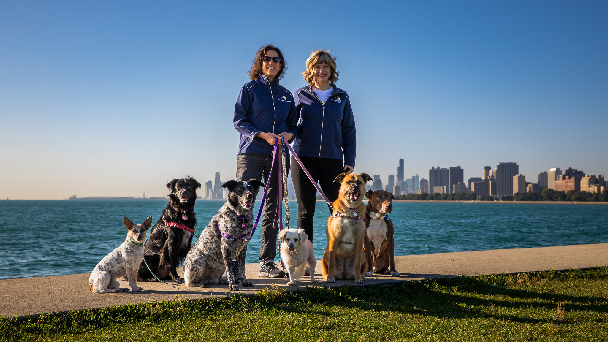 Darn Good Dogs Chicago, Inc.