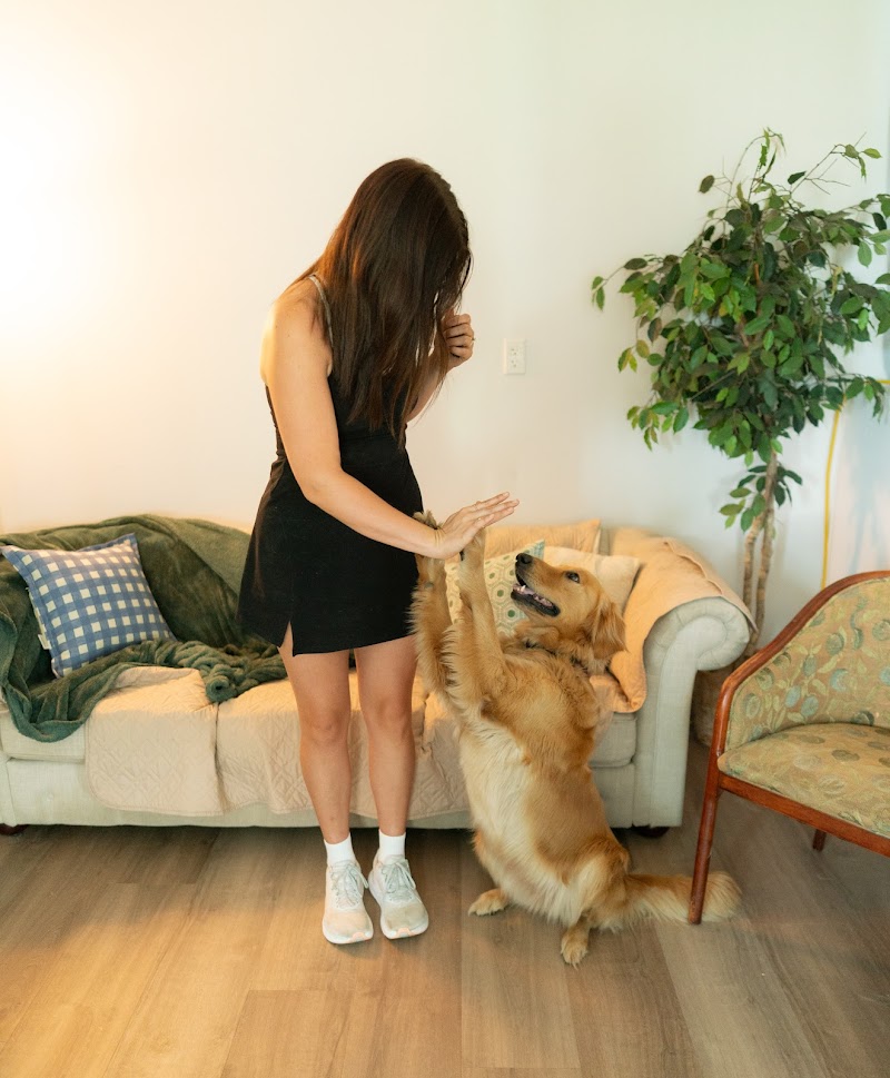 Simply Love Pet Grooming & Doggie Day Care