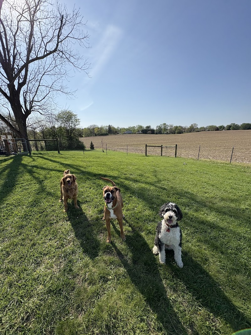Simply Love Pet Grooming & Doggie Day Care photo 2