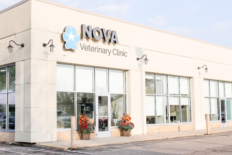 Nova Veterinary Clinic photo 2