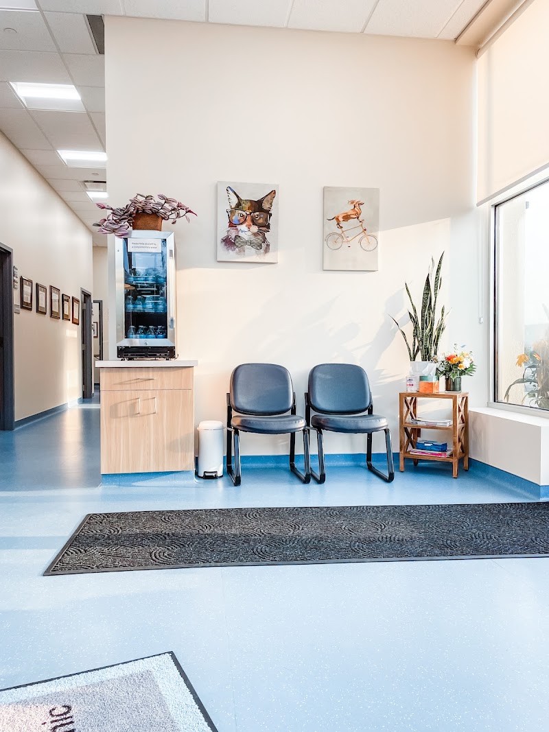 Nova Veterinary Clinic photo 3