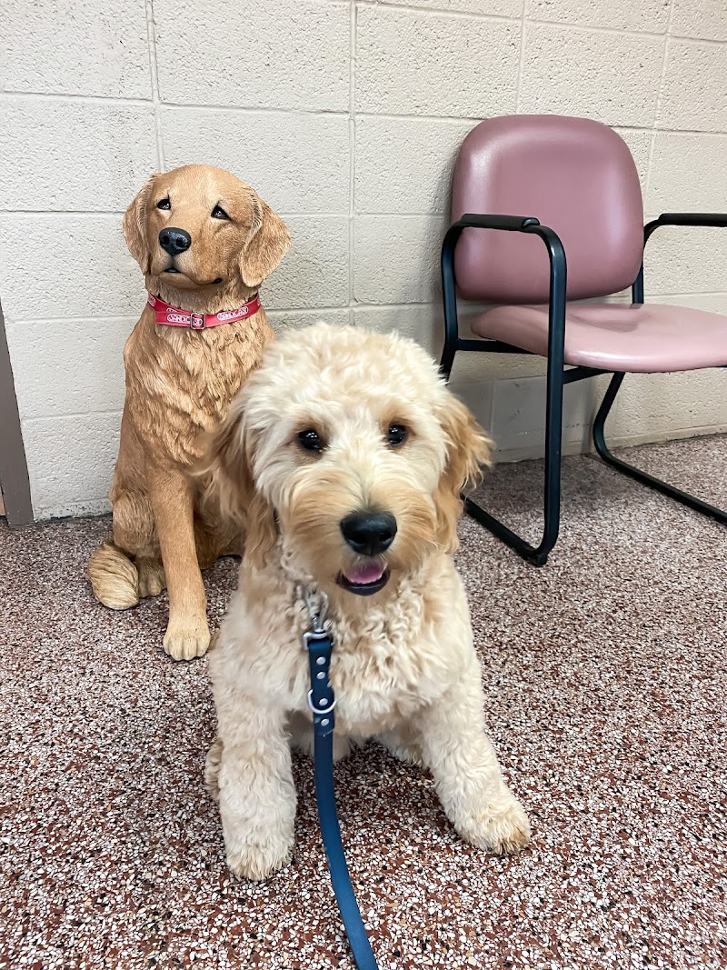 Hopkins Pet Hospital