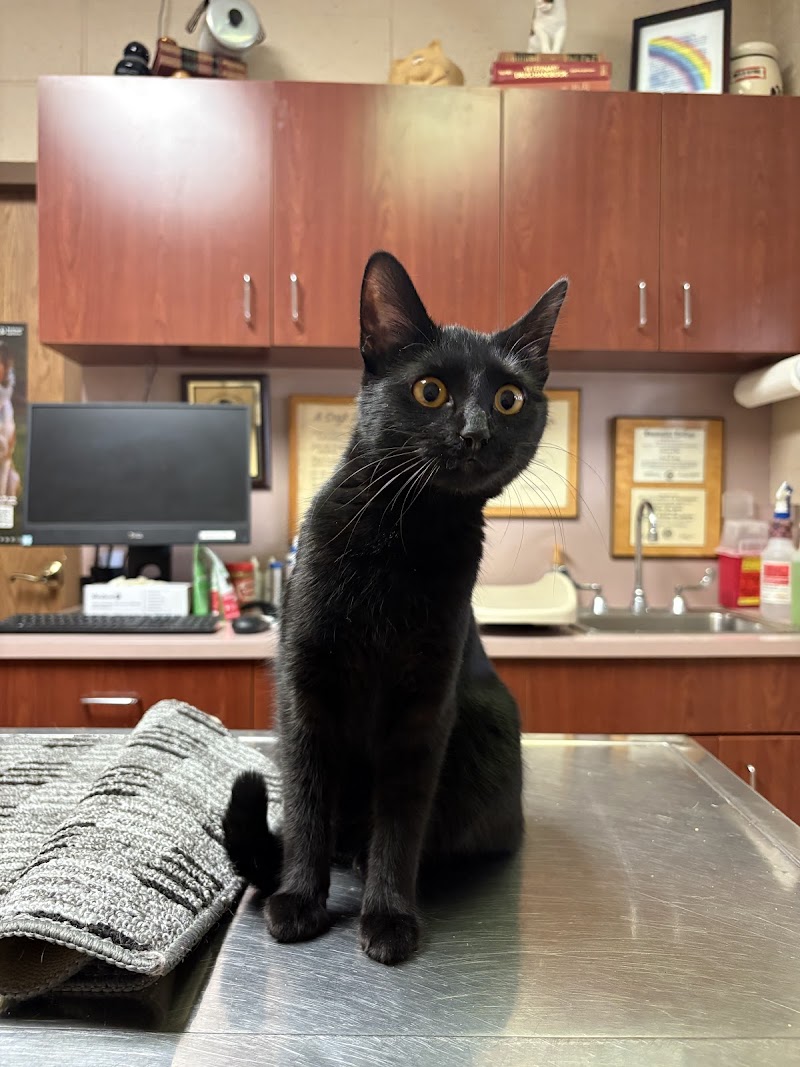 Hopkins Pet Hospital photo 3