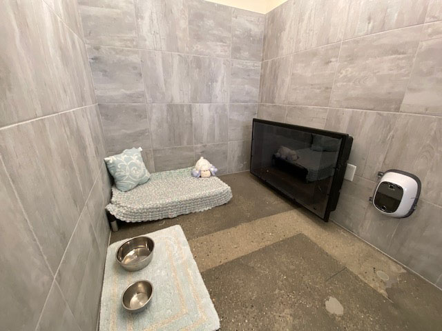 Best Friends Total Pet Care