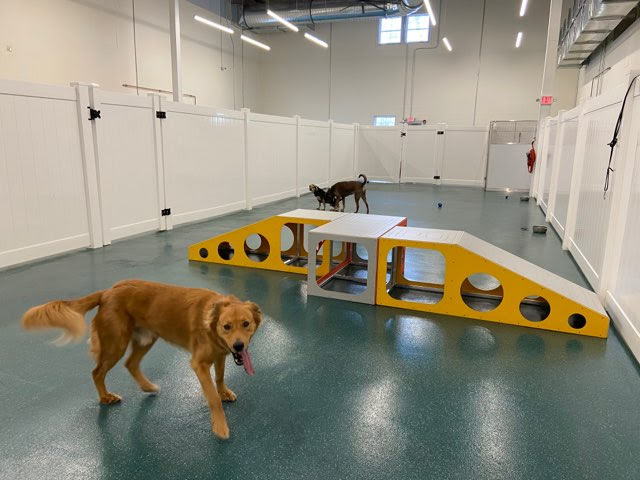 Best Friends Total Pet Care photo 2