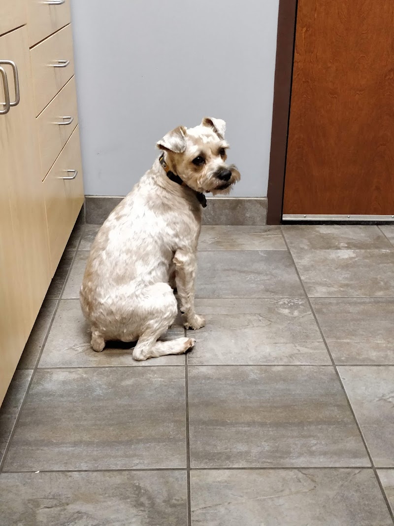 Pets First Veterinary Clinic