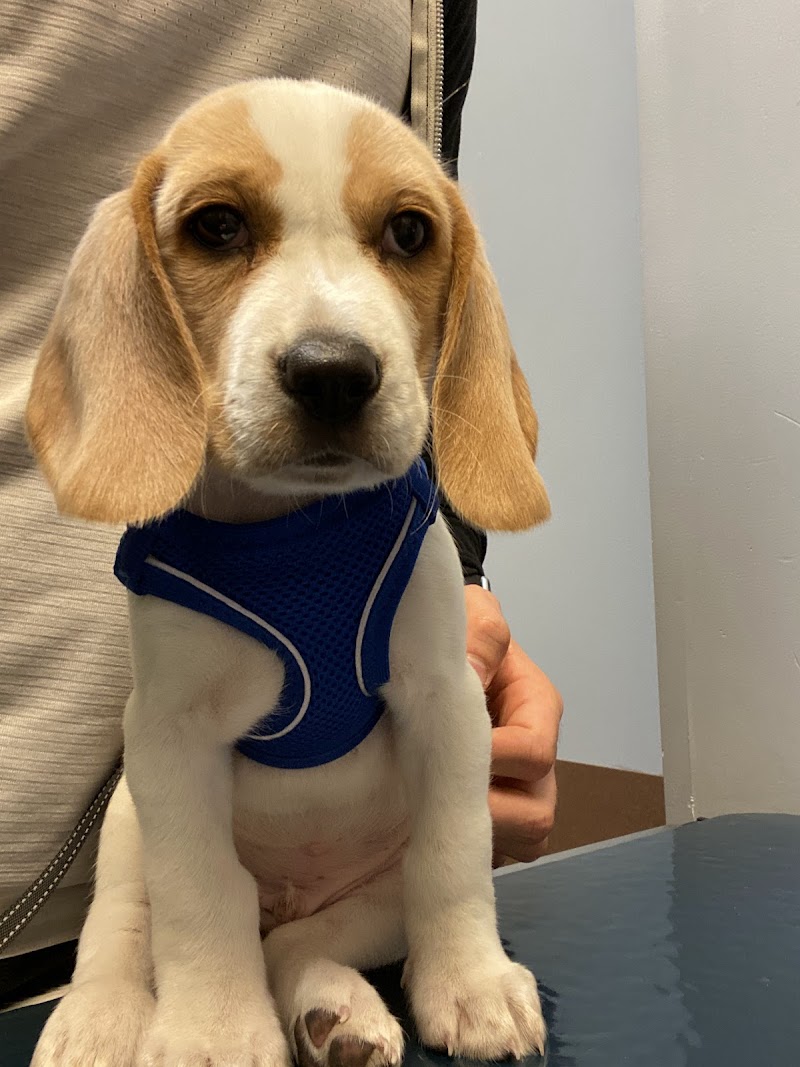 Pets First Veterinary Clinic photo 2