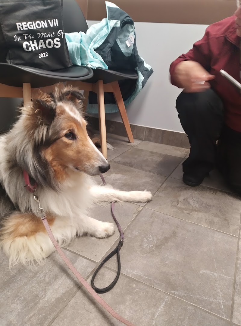 Pets First Veterinary Clinic photo 3