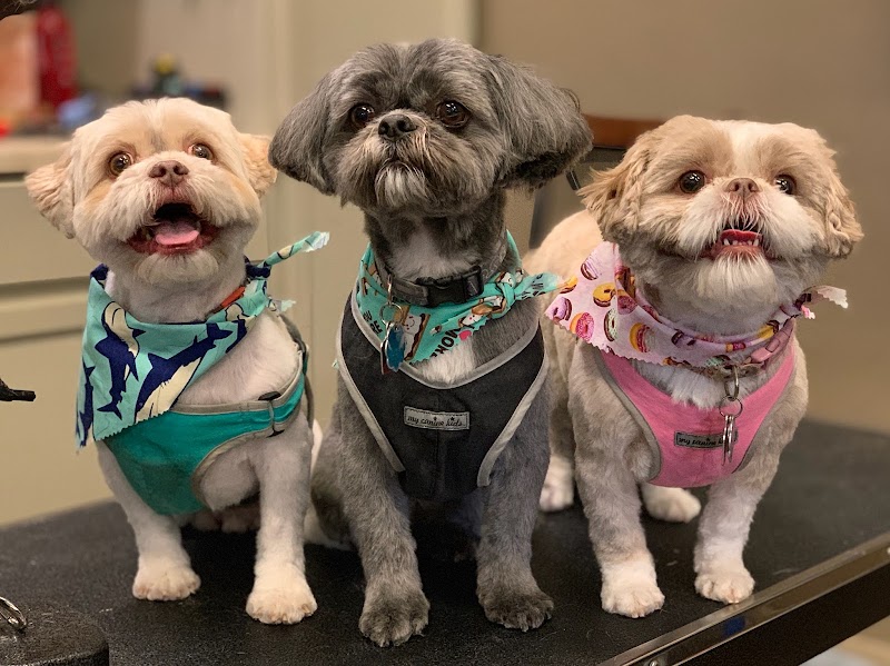 EmBark Pet Spa photo 2