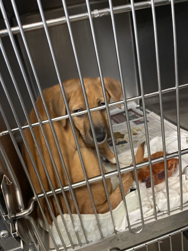 Northeast Ohio SPCA photo 2