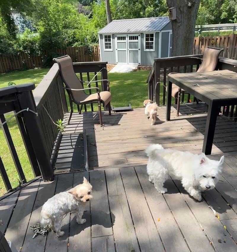 Lynns Pet Care Inc photo 2