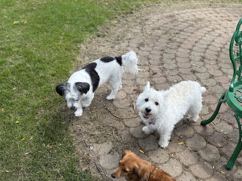 Lynns Pet Care Inc photo 3