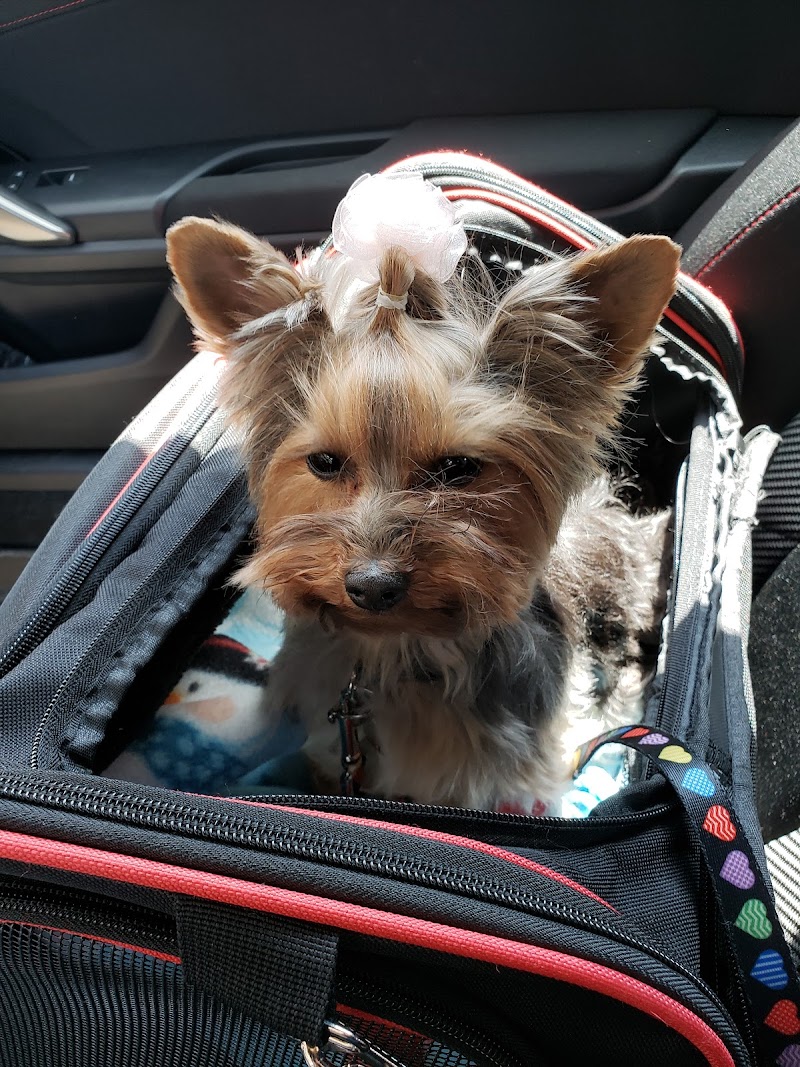 Lake Street Animal Hospital photo 2