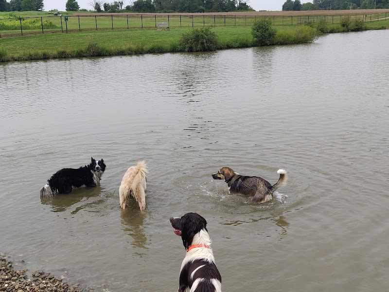 Canine Meadow Dog Park
