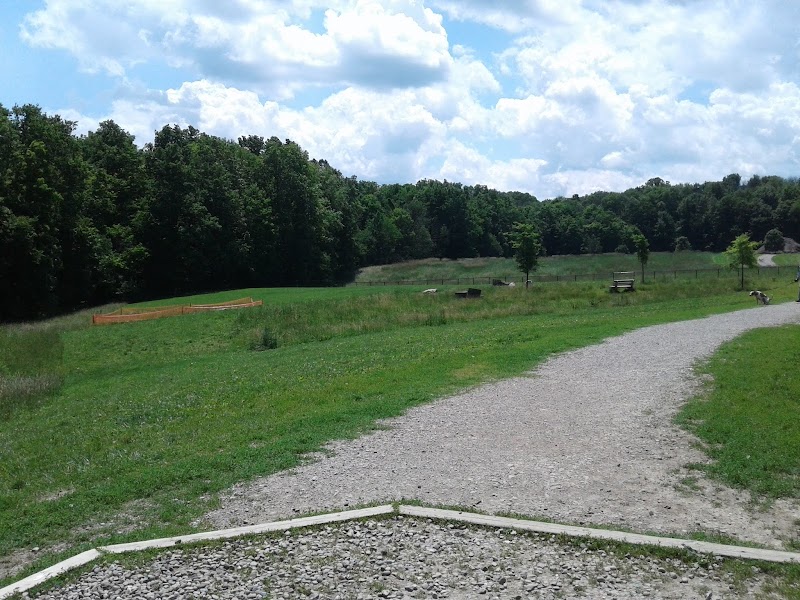 Canine Meadow Dog Park photo 3