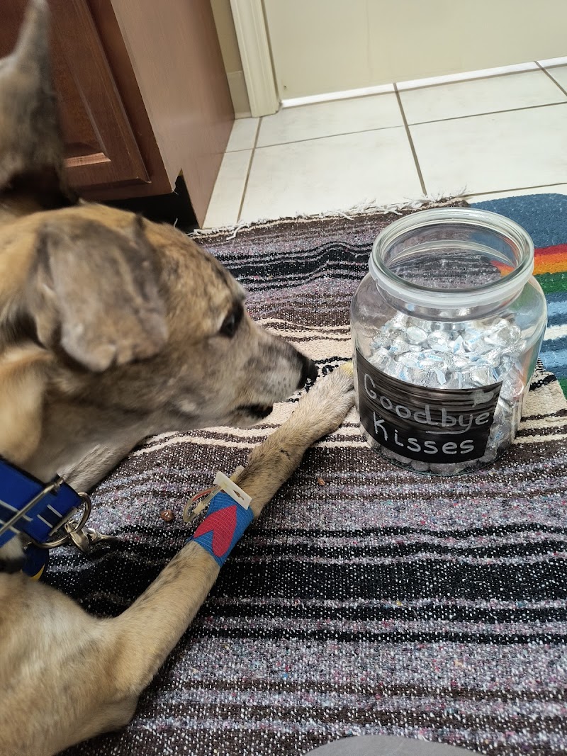 Animal Advocates Veterinary Hospital