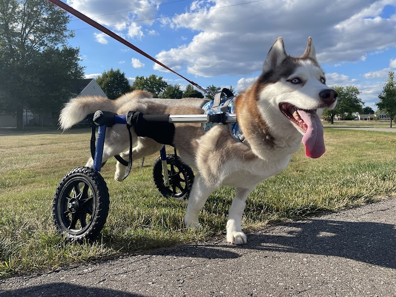 Animal Advocates Veterinary Hospital photo 2