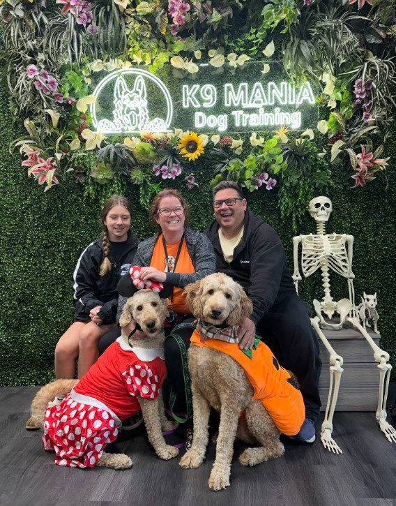 K9 Mania Dog Training