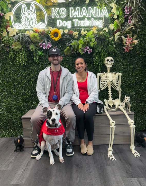 K9 Mania Dog Training photo 2