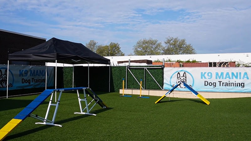 K9 Mania Dog Training photo 3