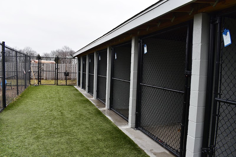 Humane Society For Boone County photo 3