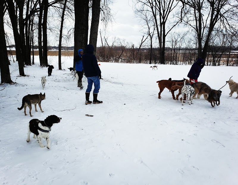 Airport Dog Park photo 2