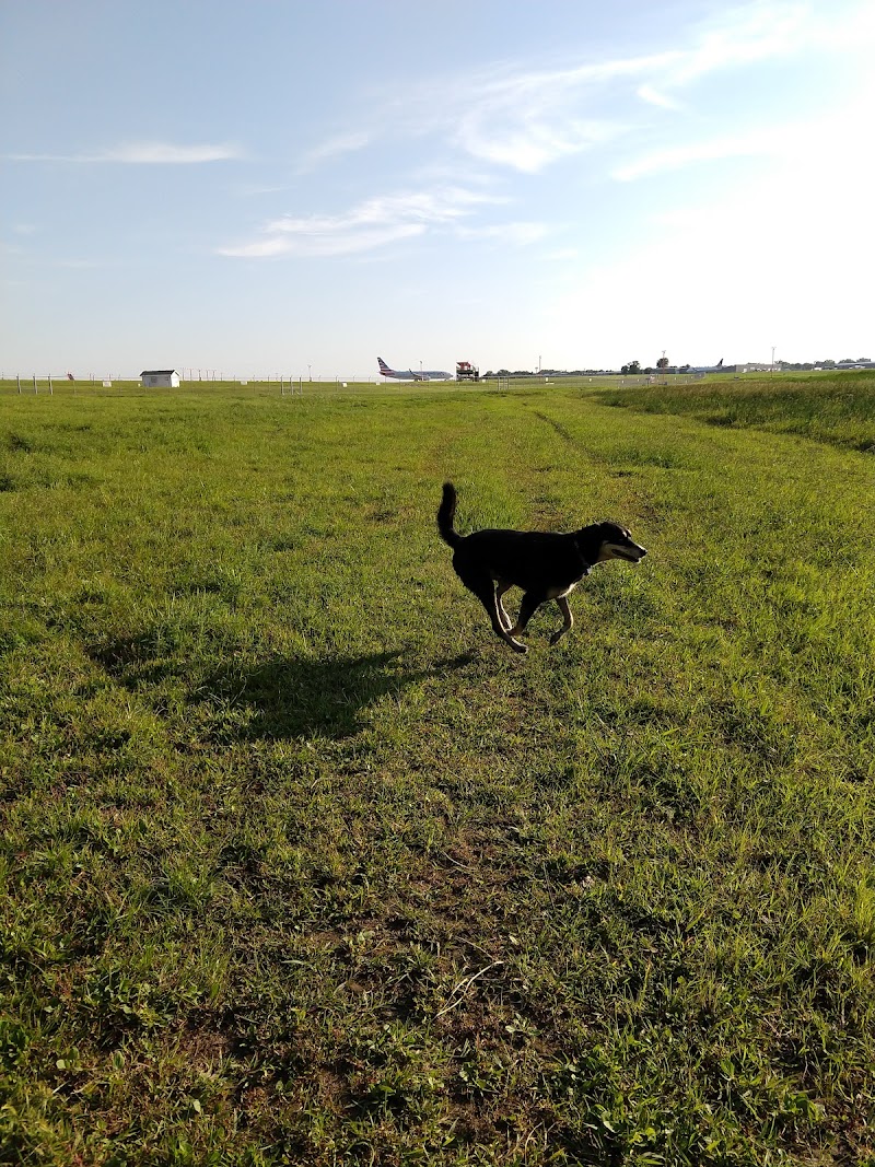 Airport Dog Park photo 3
