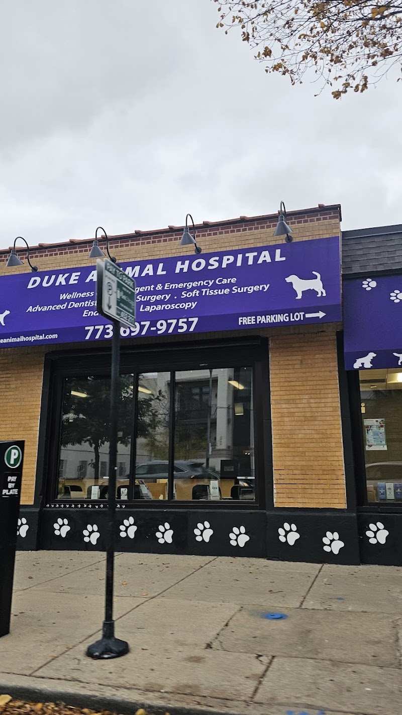 Duke Animal Hospital photo 3