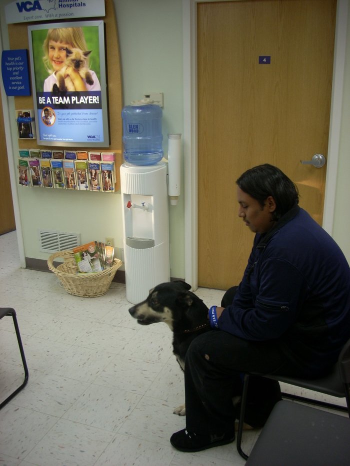 VCA Cedar Animal Hospital