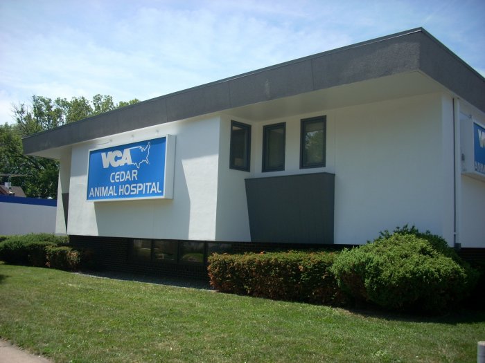 VCA Cedar Animal Hospital photo 2