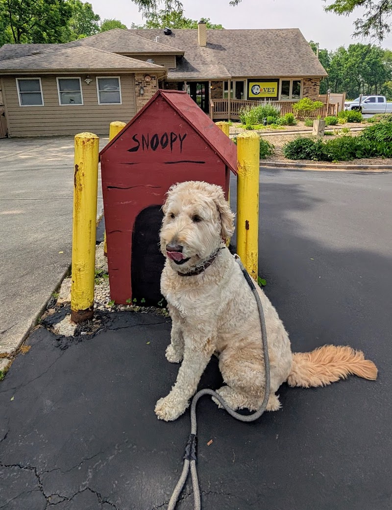 C-VET Animal Hospital photo 3