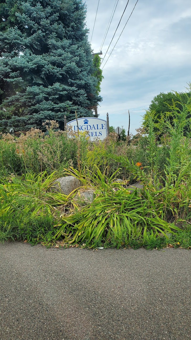 Kingdale Kennels