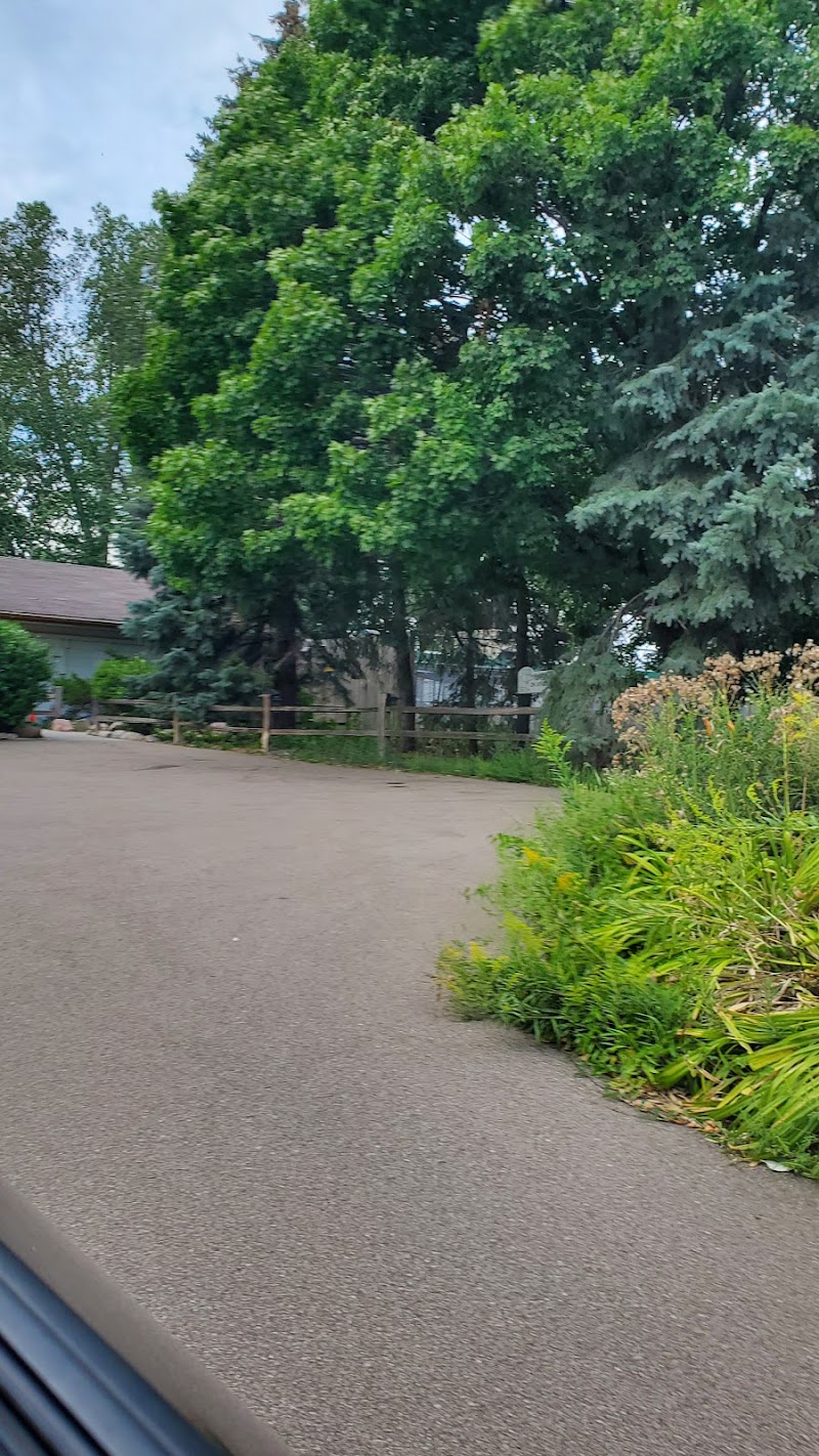 Kingdale Kennels photo 2