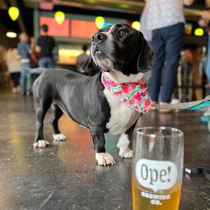 Ope Brewing