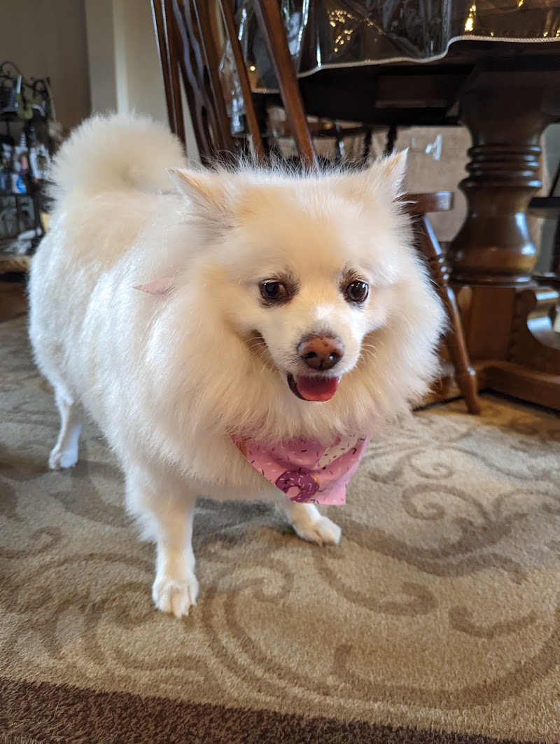 Wiggle Butt Inn photo 2