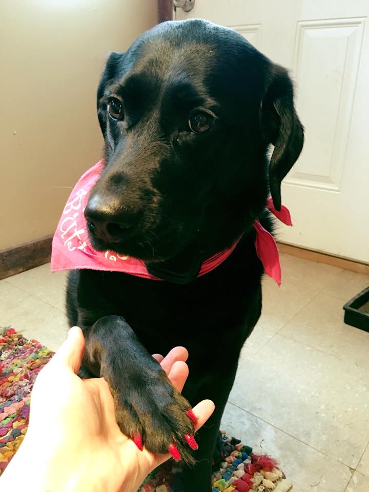 Wiggle Butt Inn photo 3