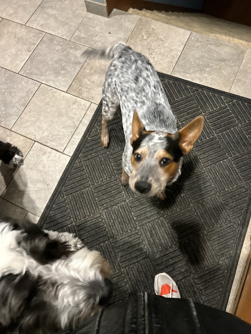 Paddington’s Pals photo 2