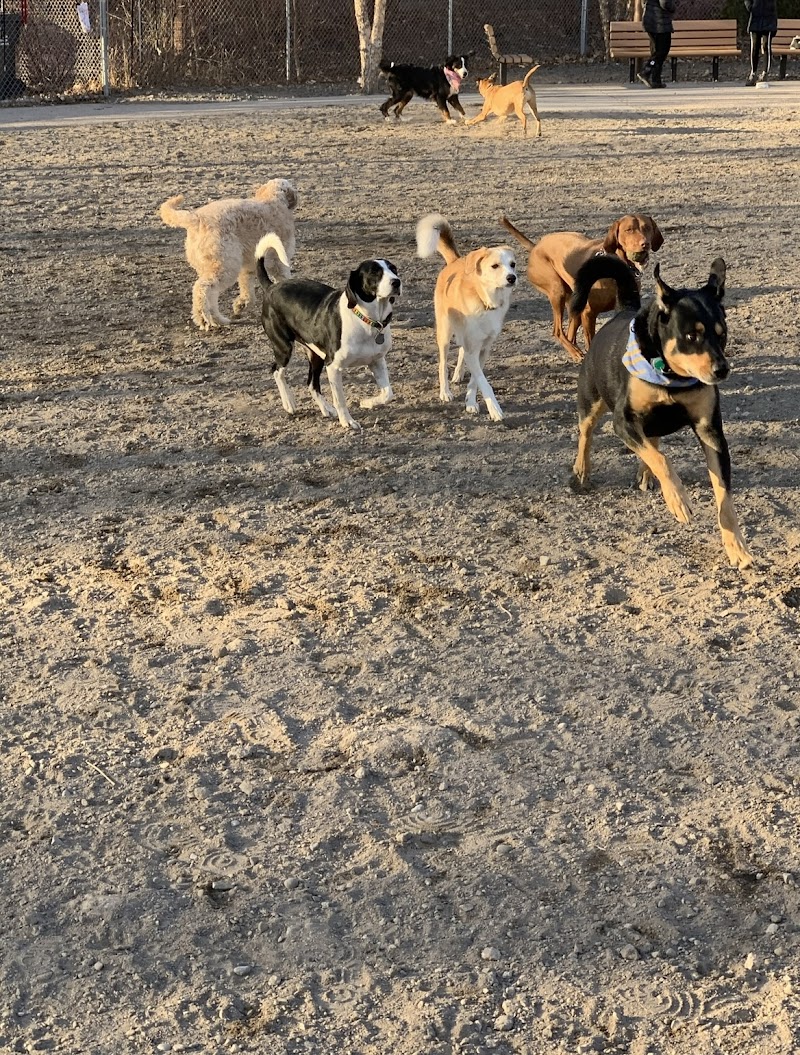 Lyndale Farmstead Off Leash Dog Park photo 2